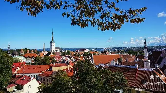 爱沙尼亚青年击剑选手刷新纪录，称霸赛场